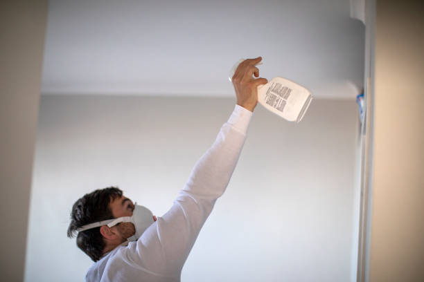 Best Residential Mold Remediation in Redding, CA
