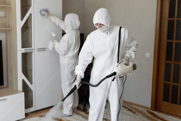 Best Emergency Mold Remediation in Redding, CA